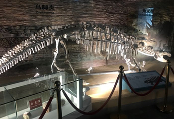 辽宁朝阳鸟化石国家地质公园第 49 张图片