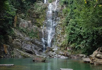 鼎湖山第 65 张图片