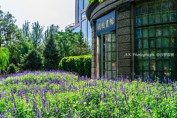 革命领袖纪念馆第 20 张图片