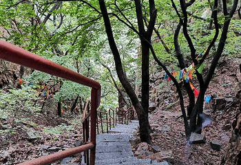 五龙山第 24 张图片