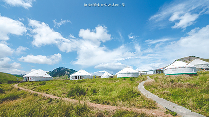 南山牧场第 36 张图片