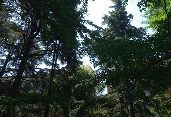 铁溪自然风景区第 22 张图片