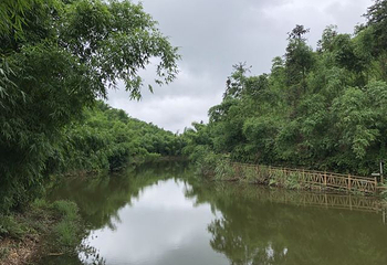 沐川竹海旅游景区第 24 张图片