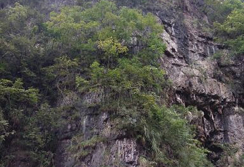 野洞河第 8 张图片