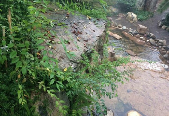 麒麟温泉spa第 13 张图片
