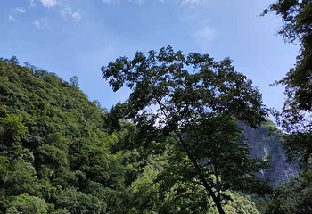 仙门奇峡第 80 张图片
