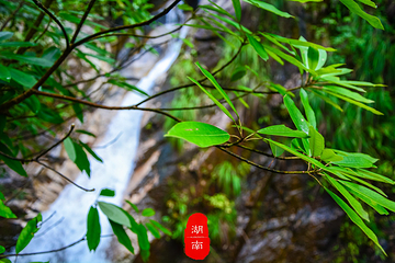 猴王寨风景区第 14 张图片