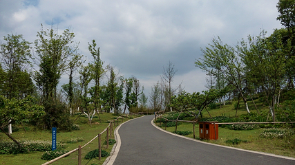 三圣花乡旅游区第 22 张图片