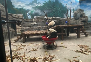 鄂尔多斯野生动物园第 28 张图片