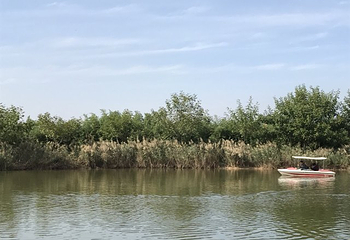 青山秀水旅游度假区第 9 张图片