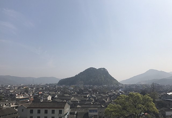 柳城洲尾农庄第 11 张图片