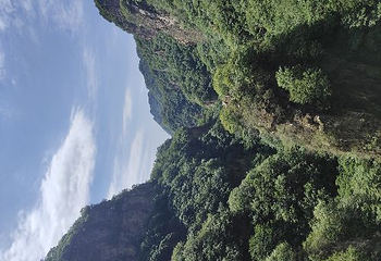 天子山第 14 张图片