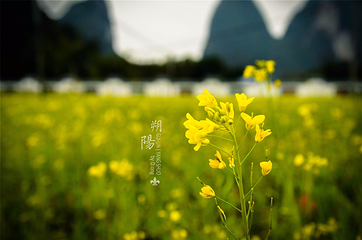 十里画廊第 142 张图片