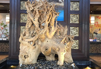 策克口岸国际文化旅游区第 33 张图片