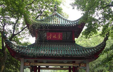 项城市南顿故城景区第 8 张图片