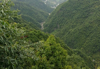 安康双龙溶洞景区第 18 张图片