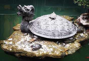 金台寺第 4 张图片