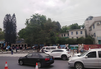 广州动物园第 67 张图片