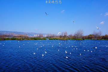 滇池第 95 张图片
