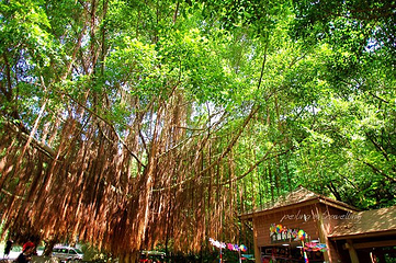 能仁禅寺第 40 张图片