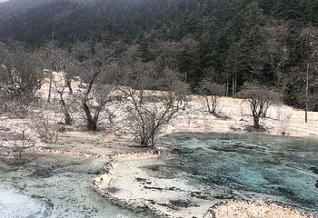 诺日朗餐厅第 22 张图片