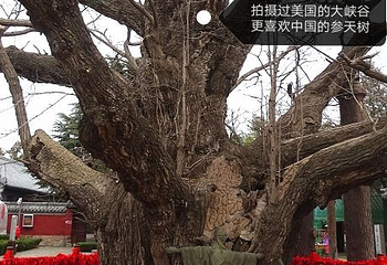 浮来山风景区第 37 张图片