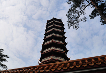 金刚舍利塔第 6 张图片
