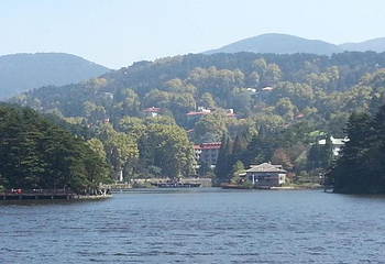 白银水川黄河湿地公园第 12 张图片