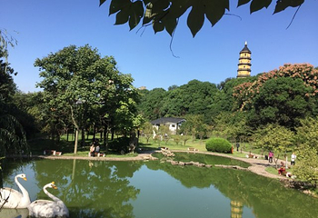 宝塔山公园第 13 张图片