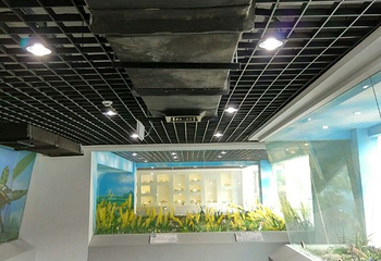 青岛滨海学院世界动物自然生态博物馆第 12 张图片