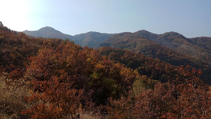 南天丽景风景区第 10 张图片