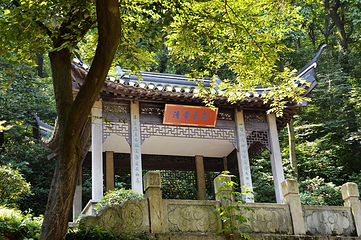 南山第 33 张图片