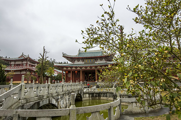 南少林寺第 25 张图片