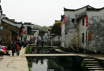 江湾景区第 56 张图片