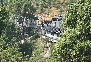 梅岭太阳谷大型梅花文化节第 31 张图片