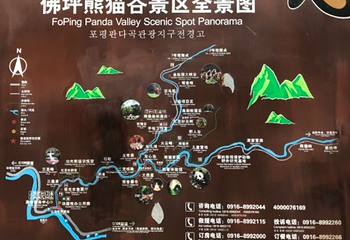 佛坪熊猫谷旅游区第 40 张图片