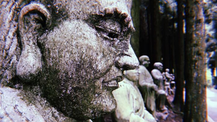 武陵山国家森林公园第 67 张图片