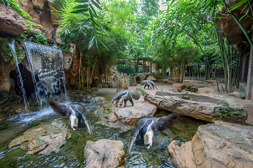 长鹿旅游休博园第 29 张图片