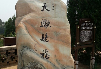 福山景区第 16 张图片