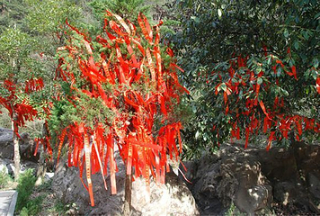 千佛山风景区第 7 张图片