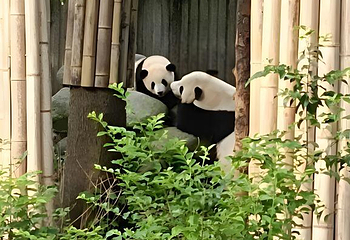 武侯祠第 57 张图片