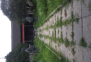 阜阳生态乐园第 50 张图片
