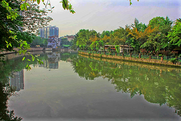 百花潭公园第 41 张图片