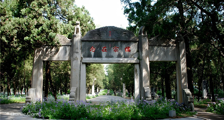 曲阜三孔景区第 29 张图片