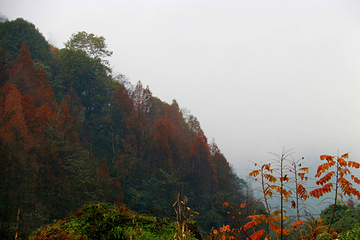 赵公山景区第 22 张图片