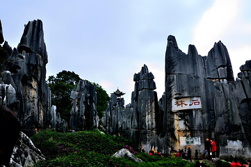 石林风景区第 324 张图片