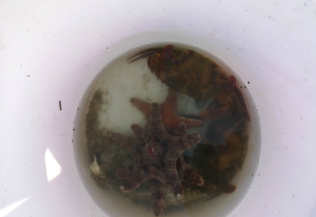 小嶝岛第 21 张图片