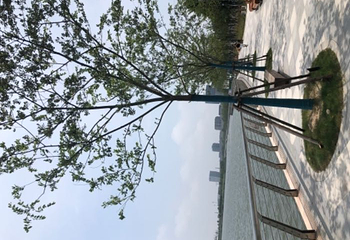 滴水湖壹号码头第 5 张图片