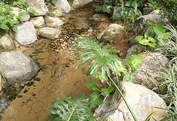麓湖第 16 张图片