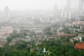 厦门园林植物园-五老峰第 29 张图片